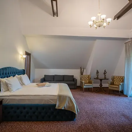 Guest house Opus Sinaia